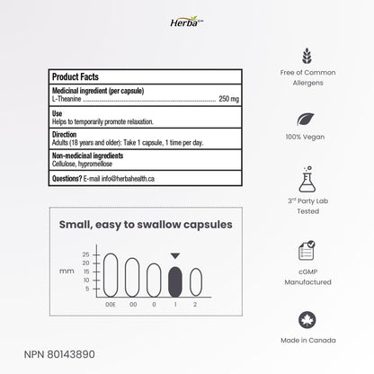 L-테아닌 보조제 250mg – 240캡슐 | 졸음 없이 휴식 촉진 | 8개월분 | 캐나다산