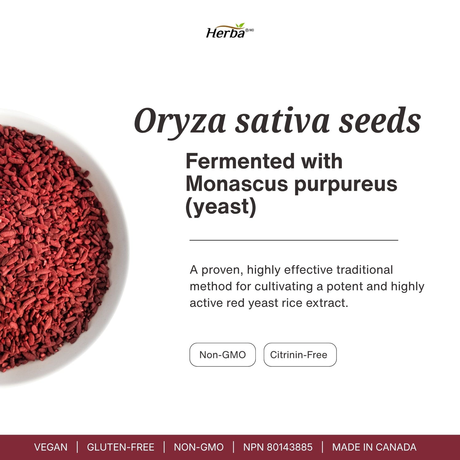 Red Yeast Rice Supplement - 180 Capsules | Pharmacist Formulated | Made in Canada