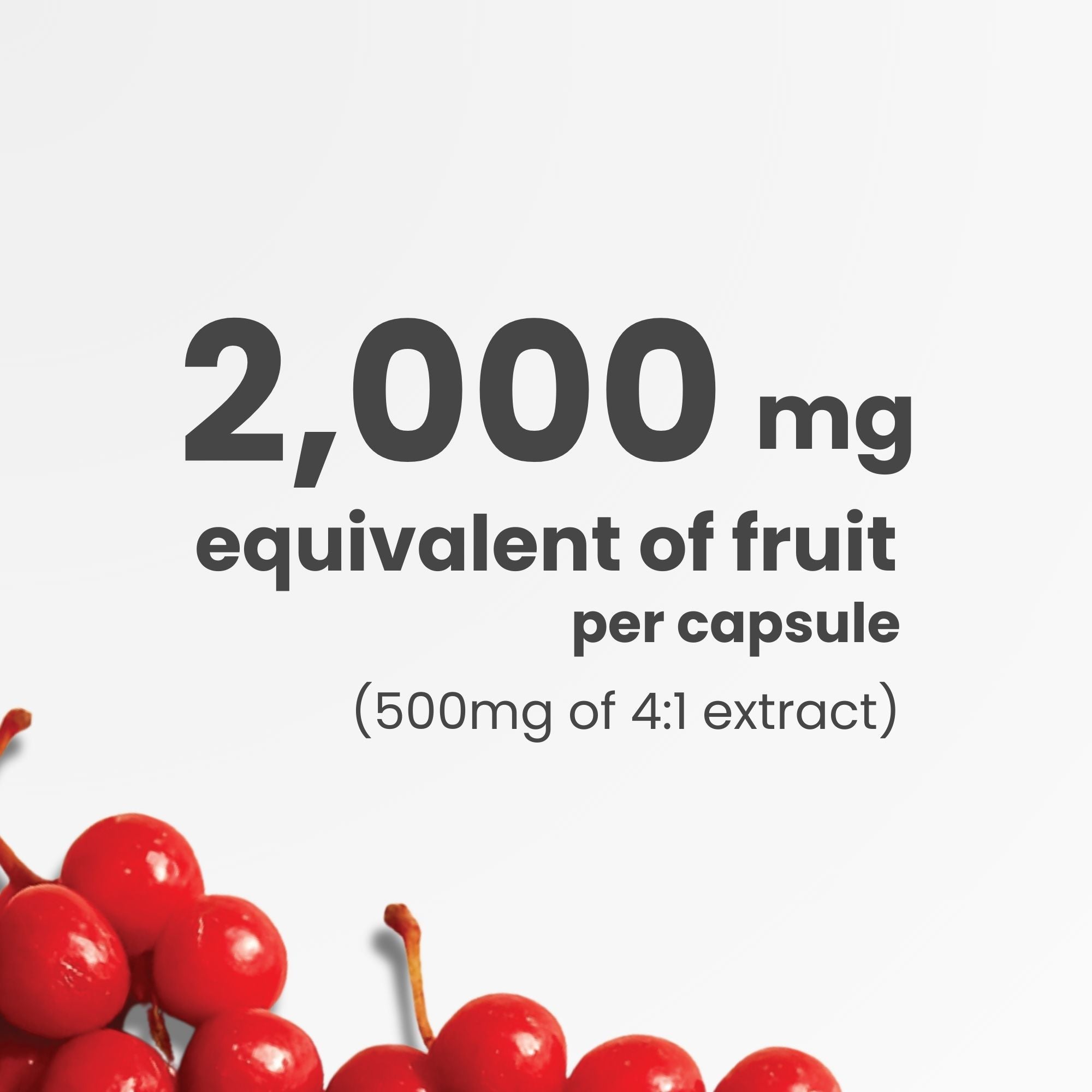 Schisandra Supplement – 90 Capsules | 4:1 Extract – 2,000mg Equivalent Schisandra Berry | Made in Canada