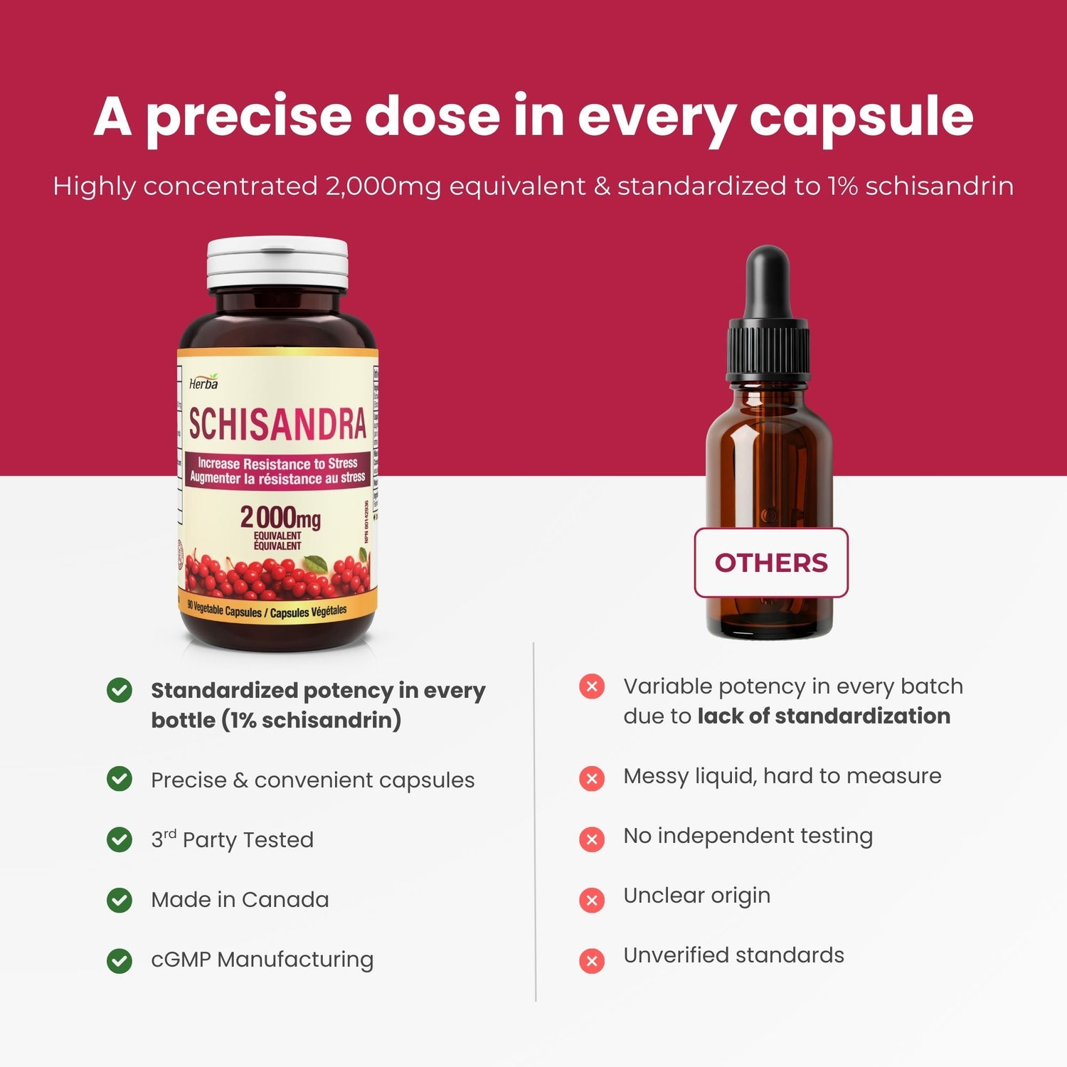 Schisandra Supplement – 90 Capsules | 4:1 Extract – 2,000mg Equivalent Schisandra Berry | Made in Canada