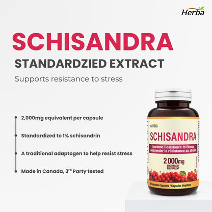 Schisandra Supplement – 90 Capsules | 4:1 Extract – 2,000mg Equivalent Schisandra Berry | Made in Canada