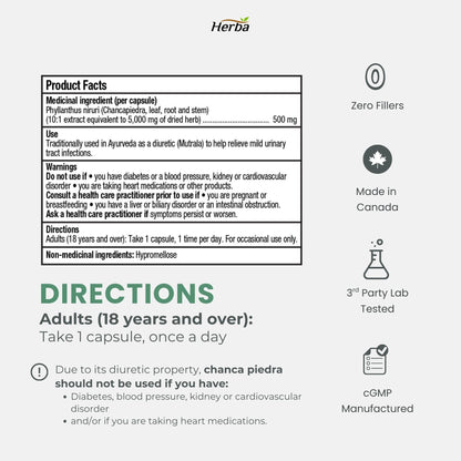 Chanca Piedra Extract - 180 Capsules | 5,000mg Equivalent | 10:1 Extract from 500mg | Spanish for "Stone Breaker" | Made in Canada