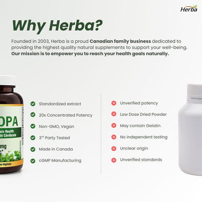 Bacopa Monnieri Supplement – 120 Capsules | 300mg, 20:1 Extract - 6,000mg Equivalent | Made in Canada