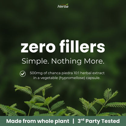 Chanca Piedra Extract - 180 Capsules | 5,000mg Equivalent | 10:1 Extract from 500mg | Spanish for "Stone Breaker" | Made in Canada