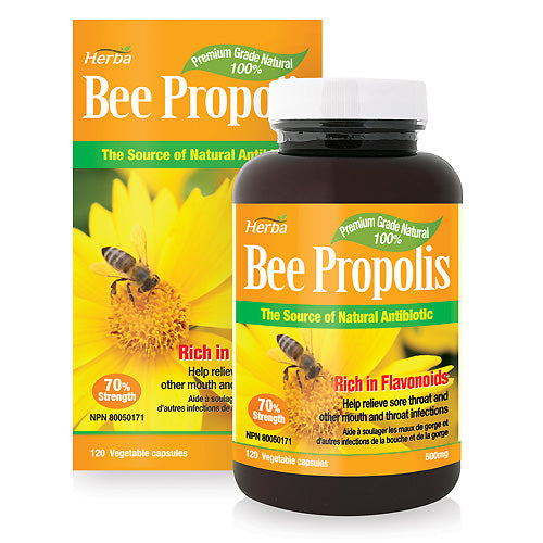 buy bee propolis capsules made in Canada