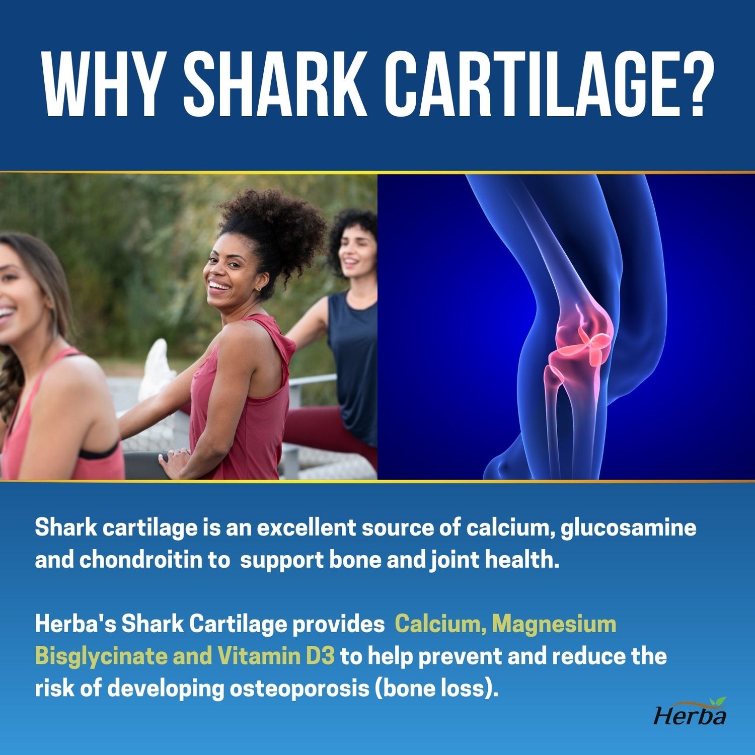 buy shark cartilage made in Canada
